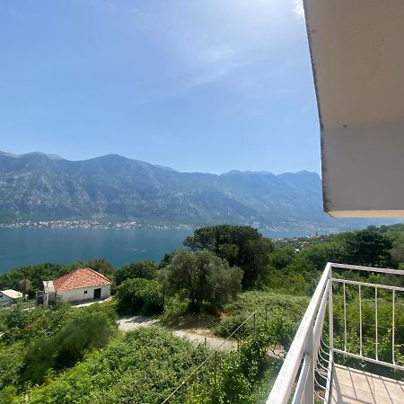Apartments Djuricic Kotor Buitenkant foto