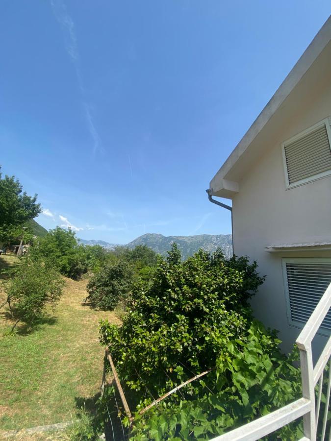 Apartments Djuricic Kotor Buitenkant foto