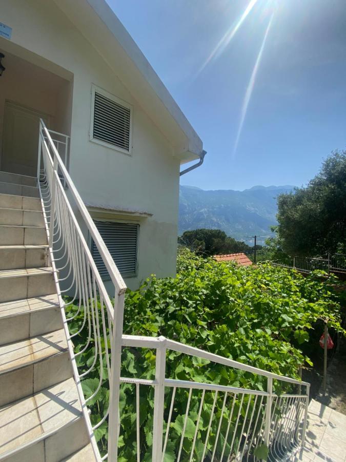 Apartments Djuricic Kotor Buitenkant foto