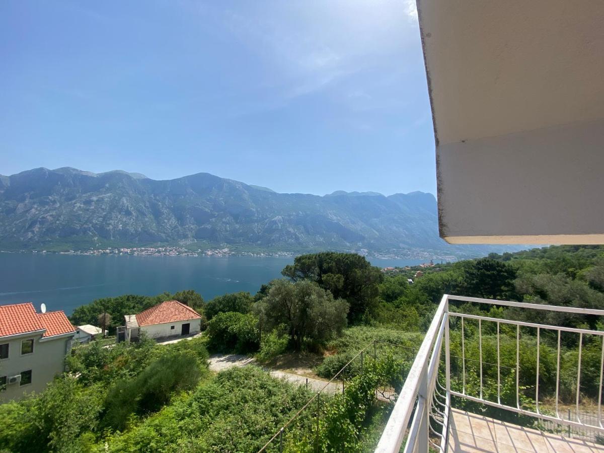 Apartments Djuricic Kotor Buitenkant foto
